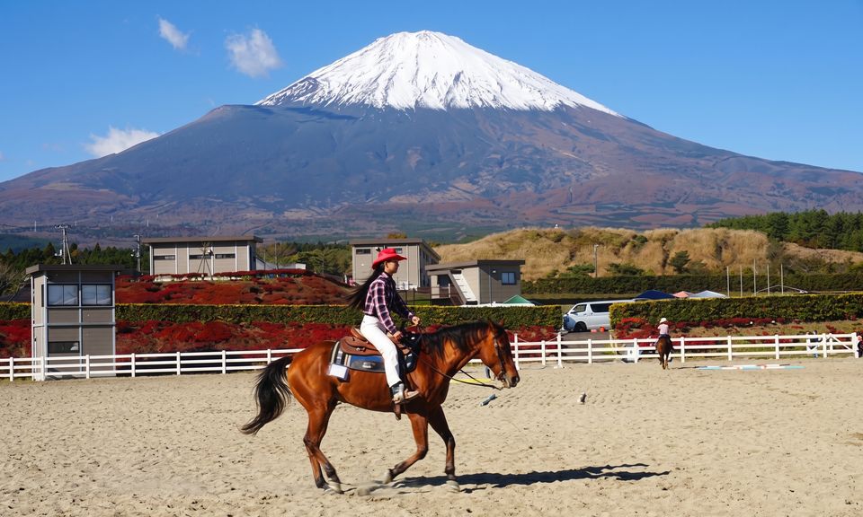 御殿場市馬術・スポーツセンター